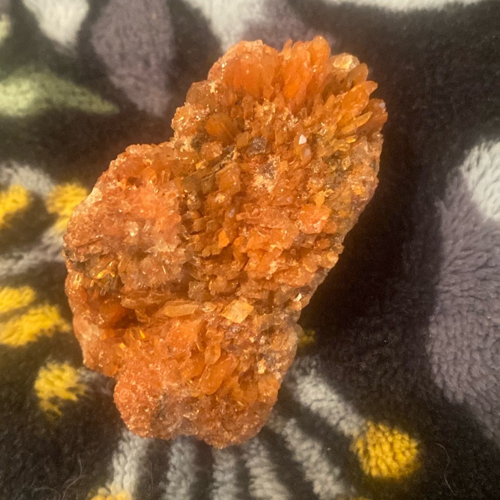 Creedite